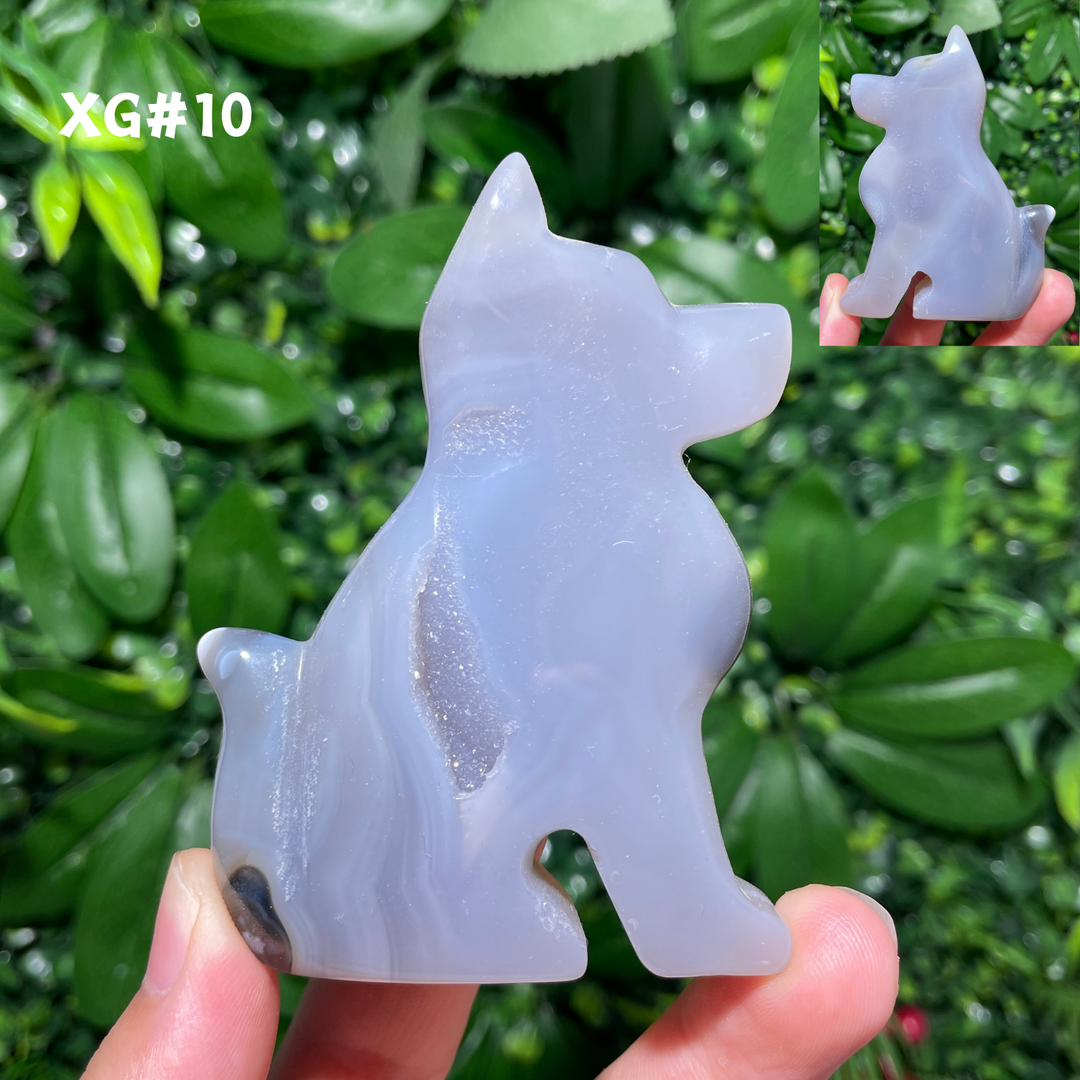 Unique, Agate Geode Dog