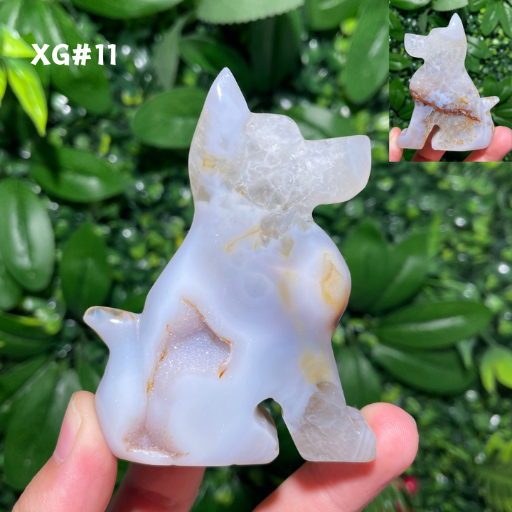 Unique, Agate Geode Dog