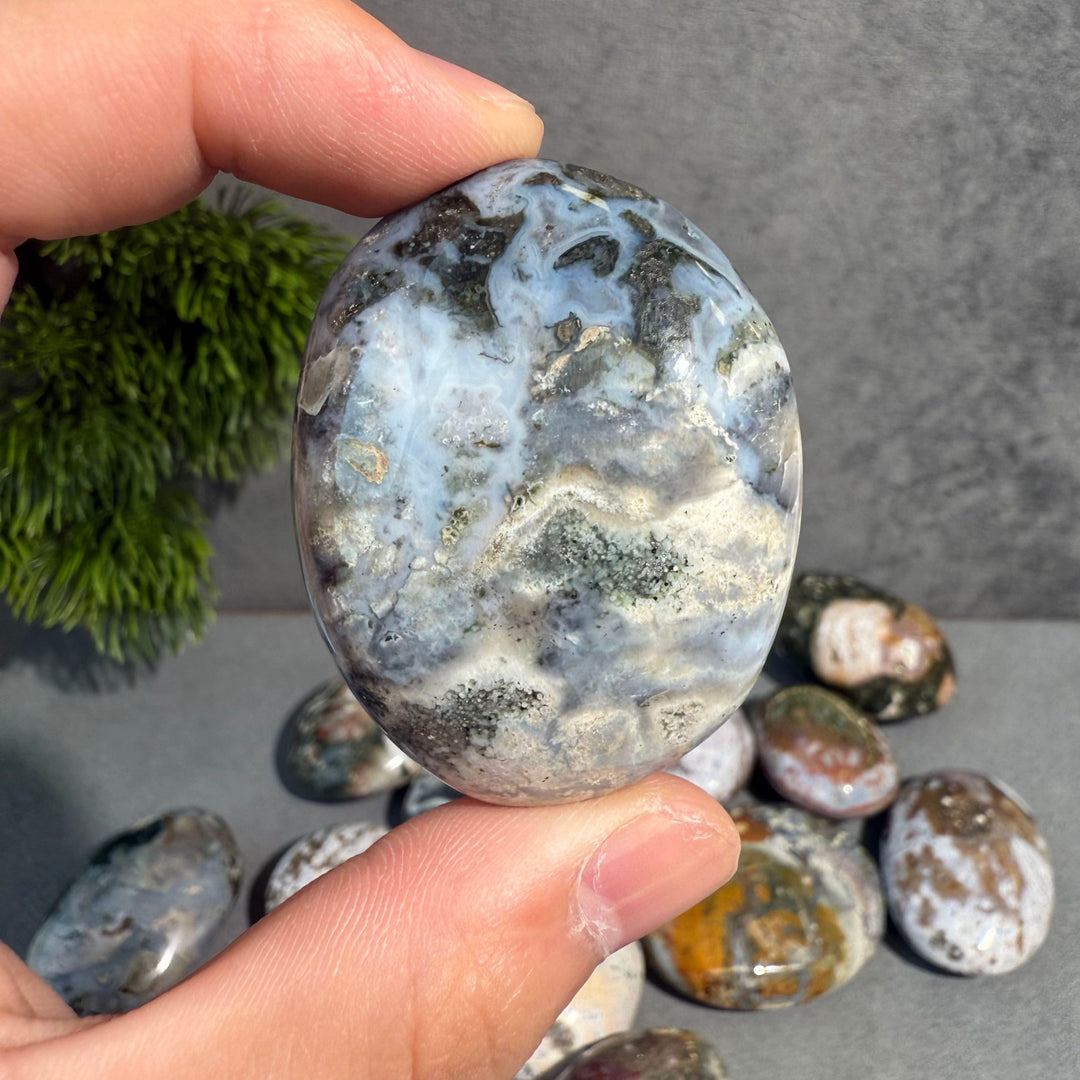 Ocean Jasper Palm Stone