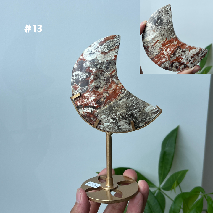 Unique,Money Agate Moon