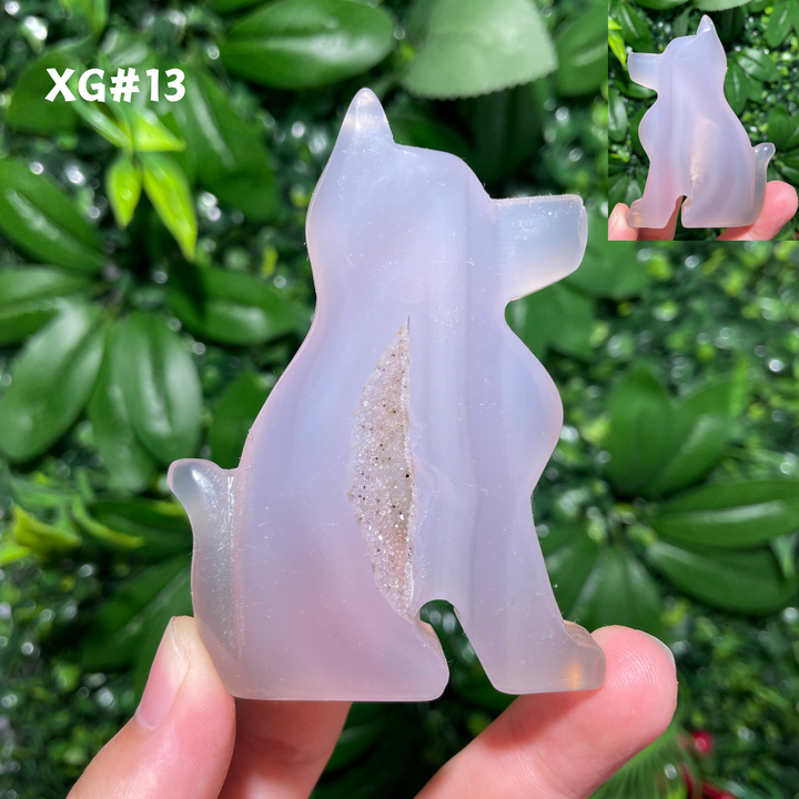 Unique, Agate Geode Dog