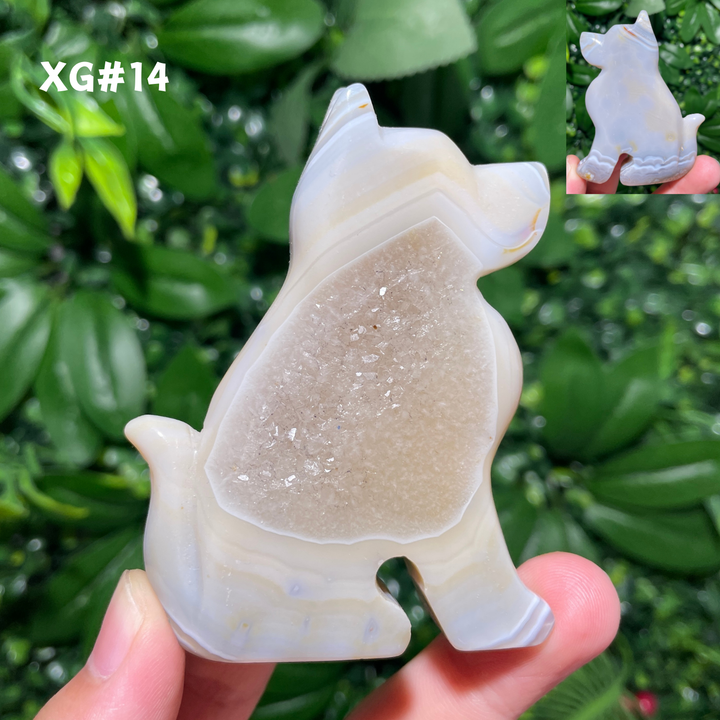 Unique, Agate Geode Dog