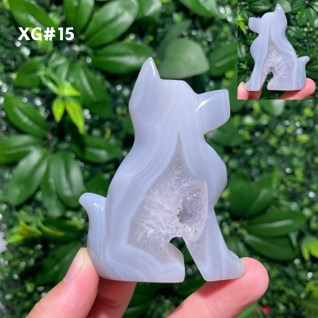 Unique, Agate Geode Dog