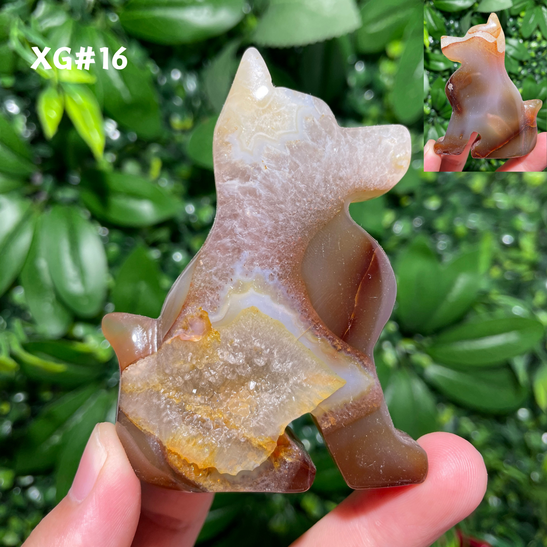 Unique, Agate Geode Dog