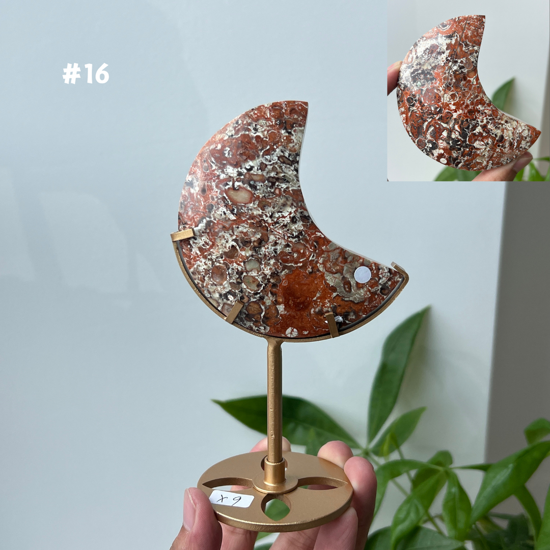 Unique,Money Agate Moon