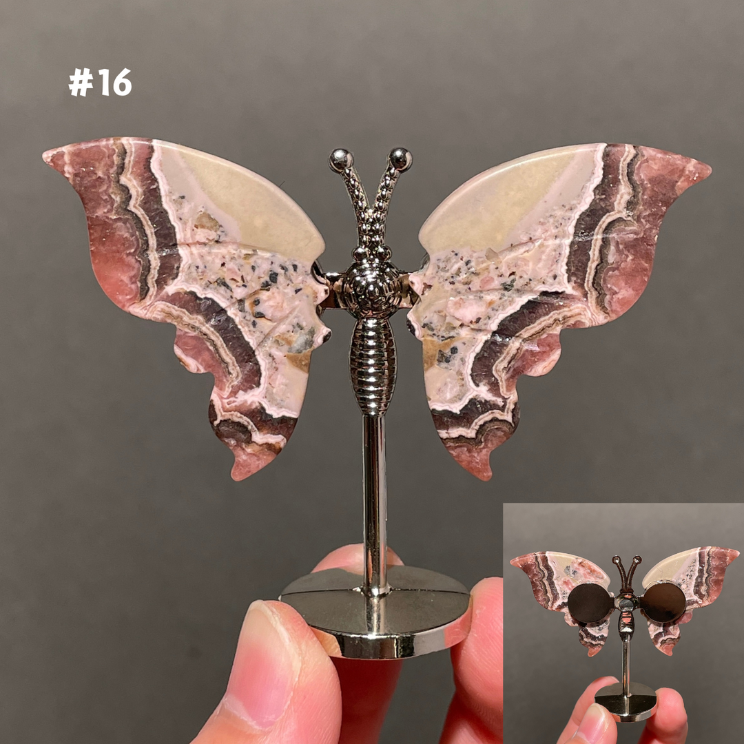 Unique,2.3"+Rhodochrosite Butterfly