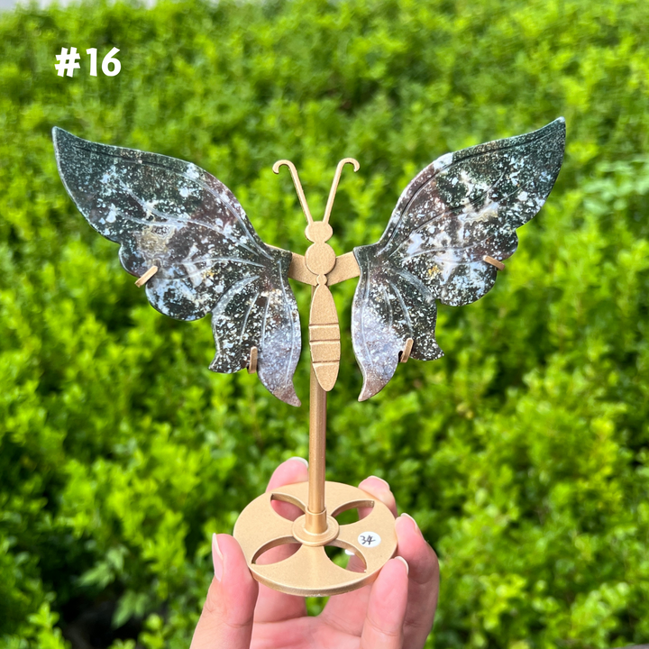 Ocean Jasper Butterfly