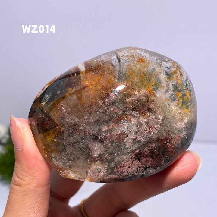 Chat afghan Jade avec troisième œil