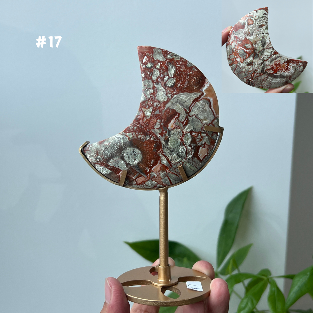 Unique,Money Agate Moon