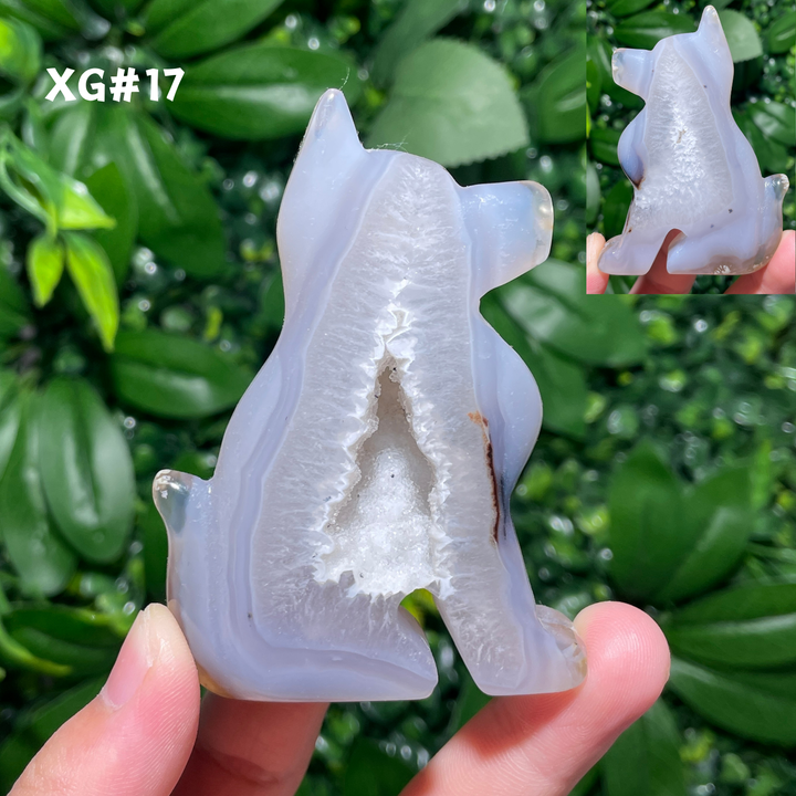 Unique, Agate Geode Dog