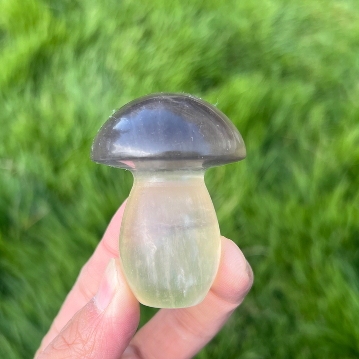 Natural Caramel Mica With Fluorite Mushroom