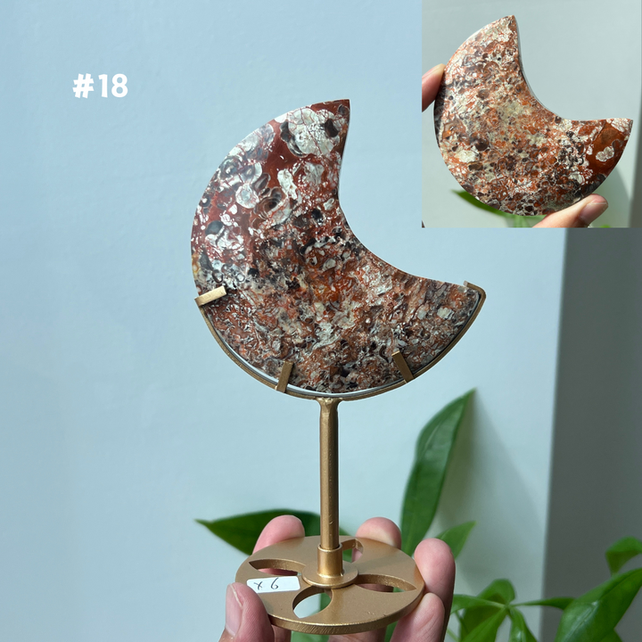 Unique,Money Agate Moon