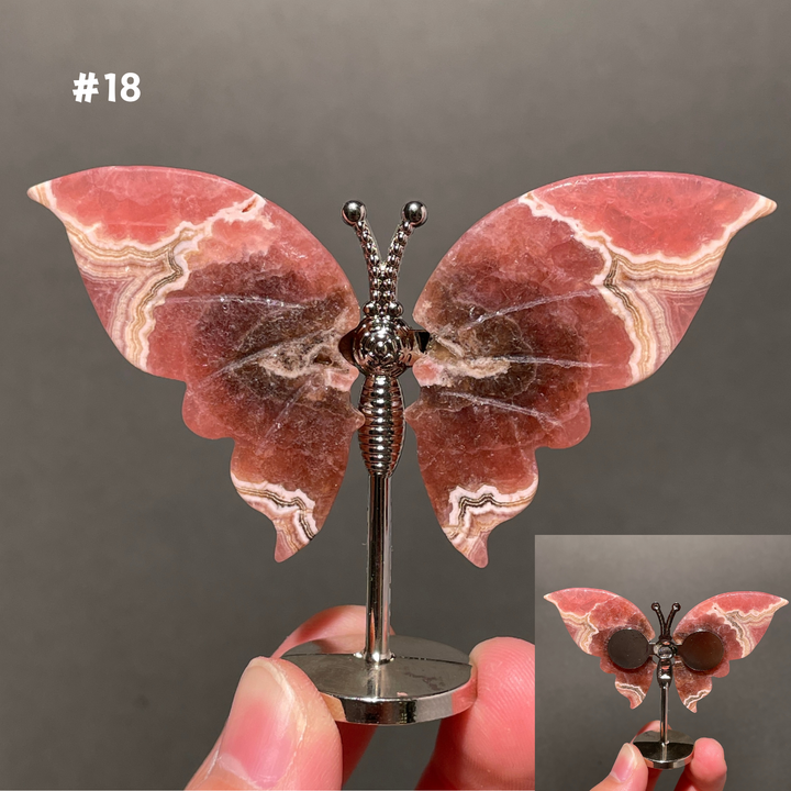 Unique,2.3"+Rhodochrosite Butterfly