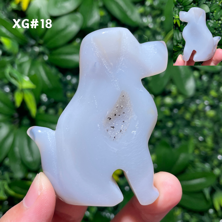 Unique, Agate Geode Dog