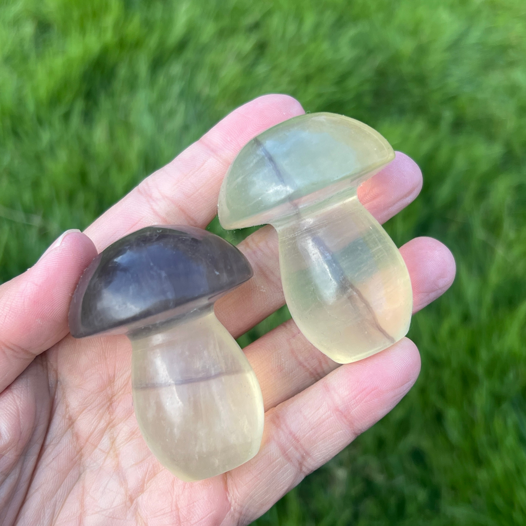Natural Caramel Mica With Fluorite Mushroom