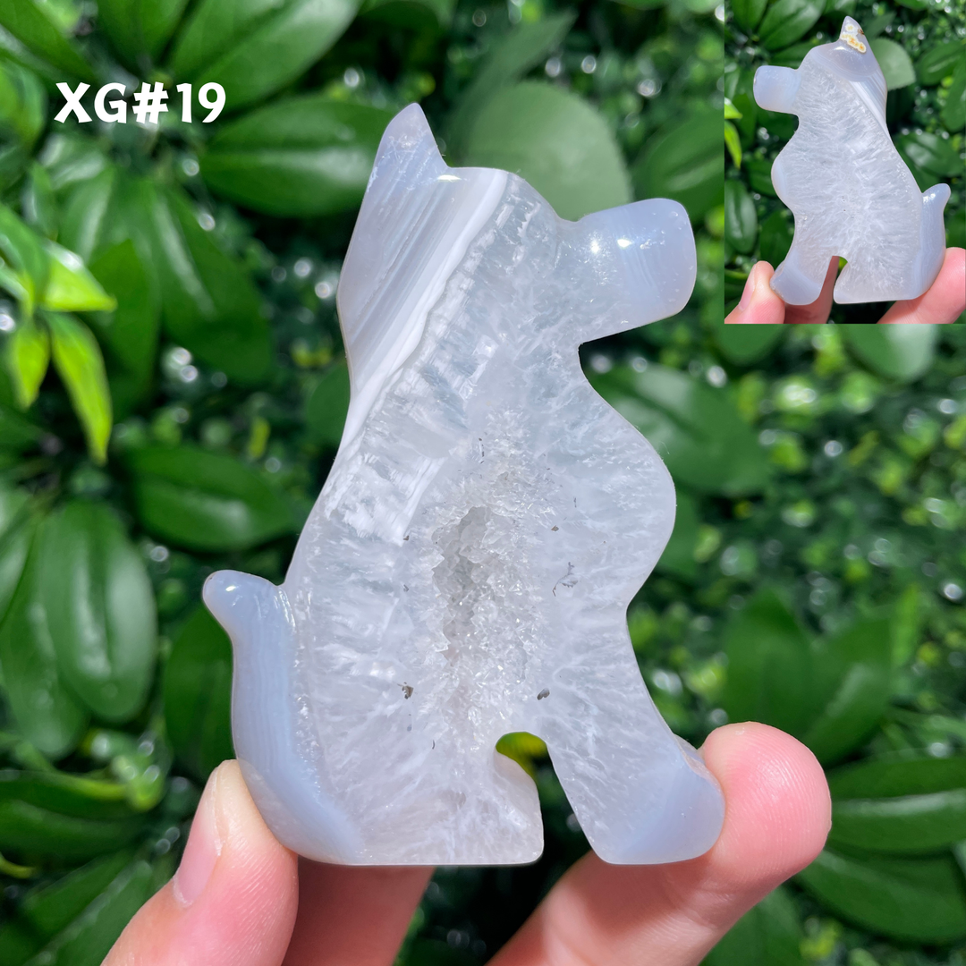 Unique, Agate Geode Dog