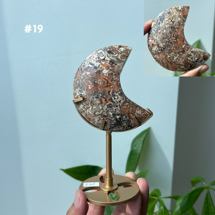 Unique,Money Agate Moon