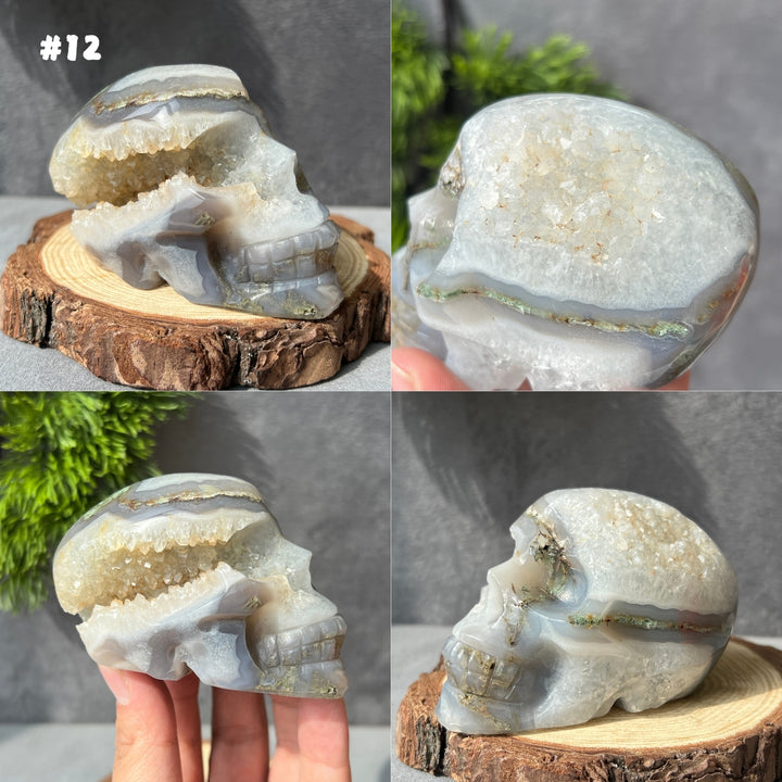Moss Agate Skull