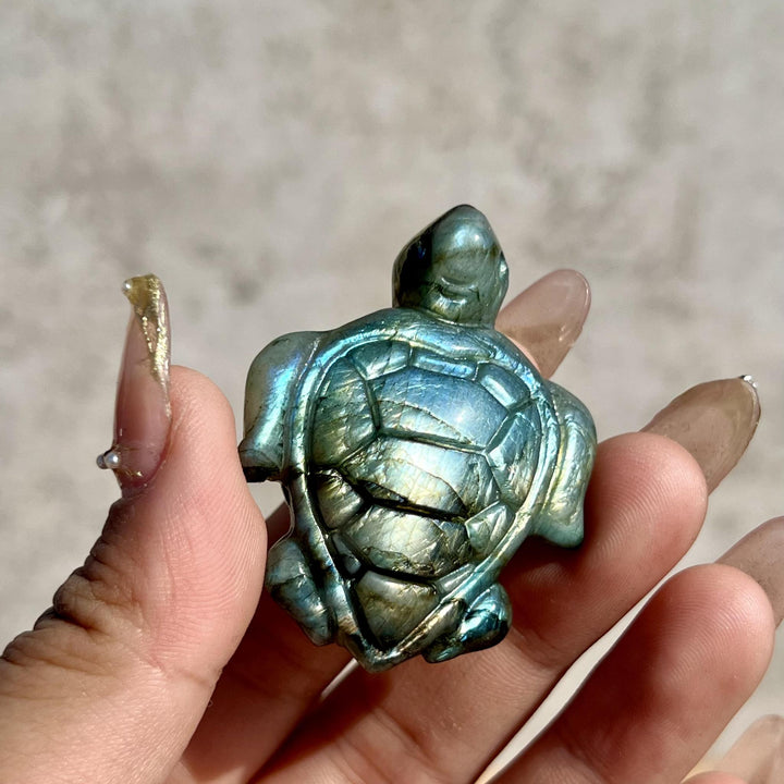 Cute Crystal Turtle