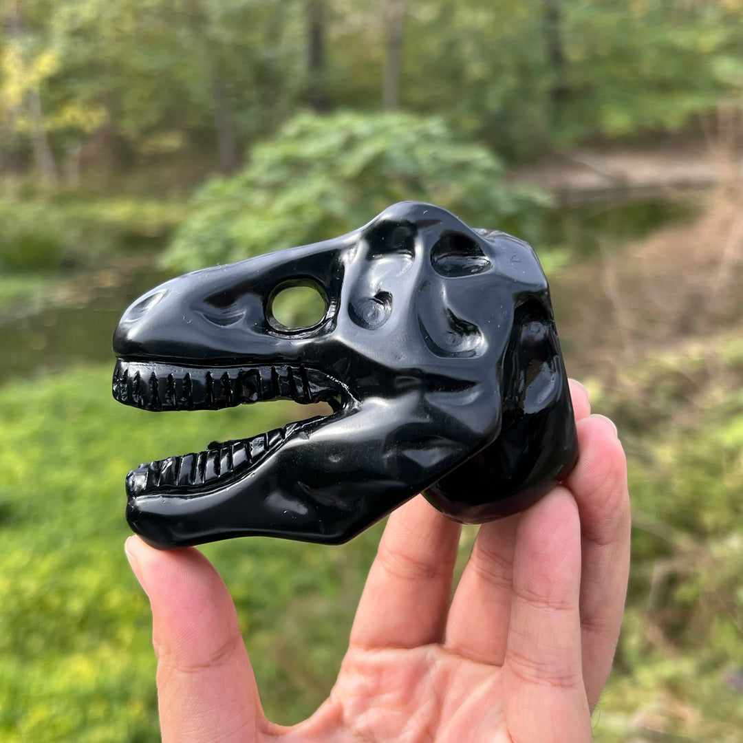 Obsidian Dinosaur Skull