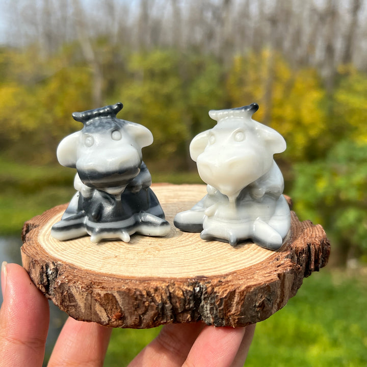 TaiJi Jasper Dairy Cow