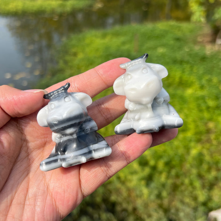 TaiJi Jasper Dairy Cow