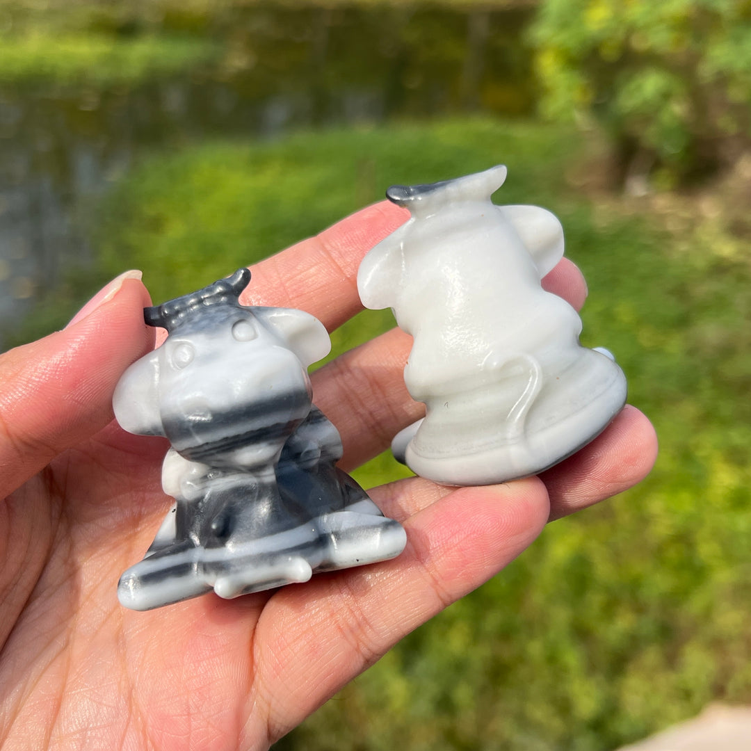 TaiJi Jasper Dairy Cow