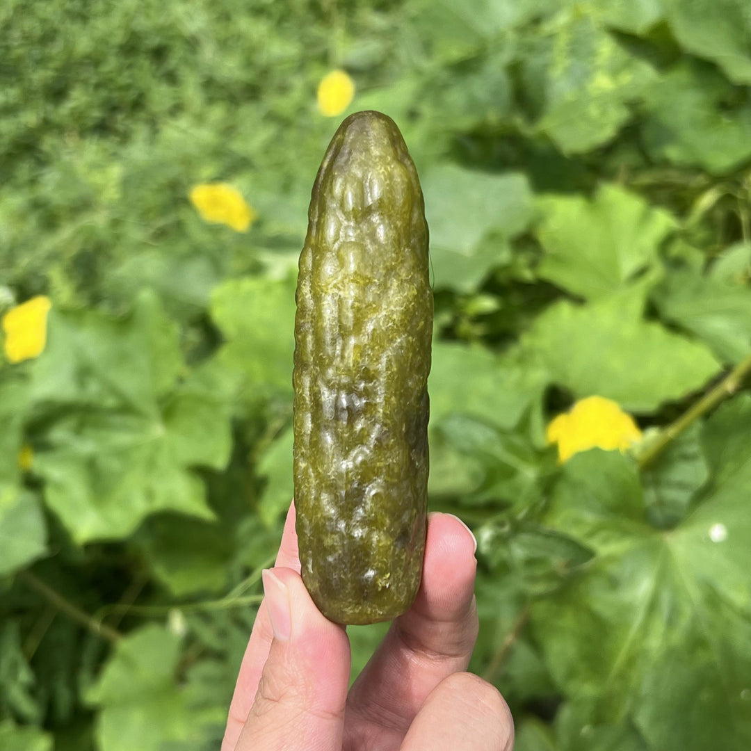 Cornichon de jade Xiuyan
