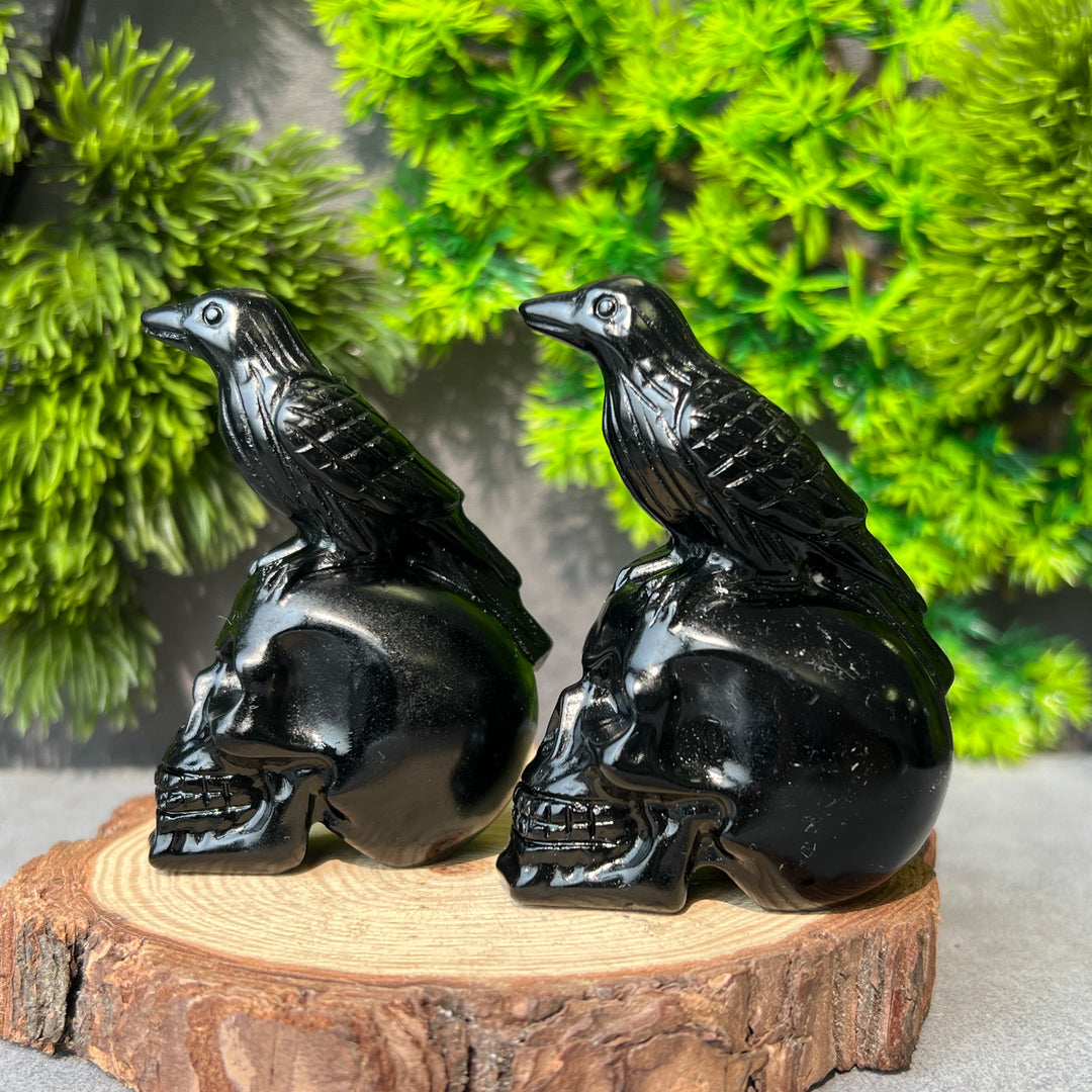 Obsidian Crow Skull