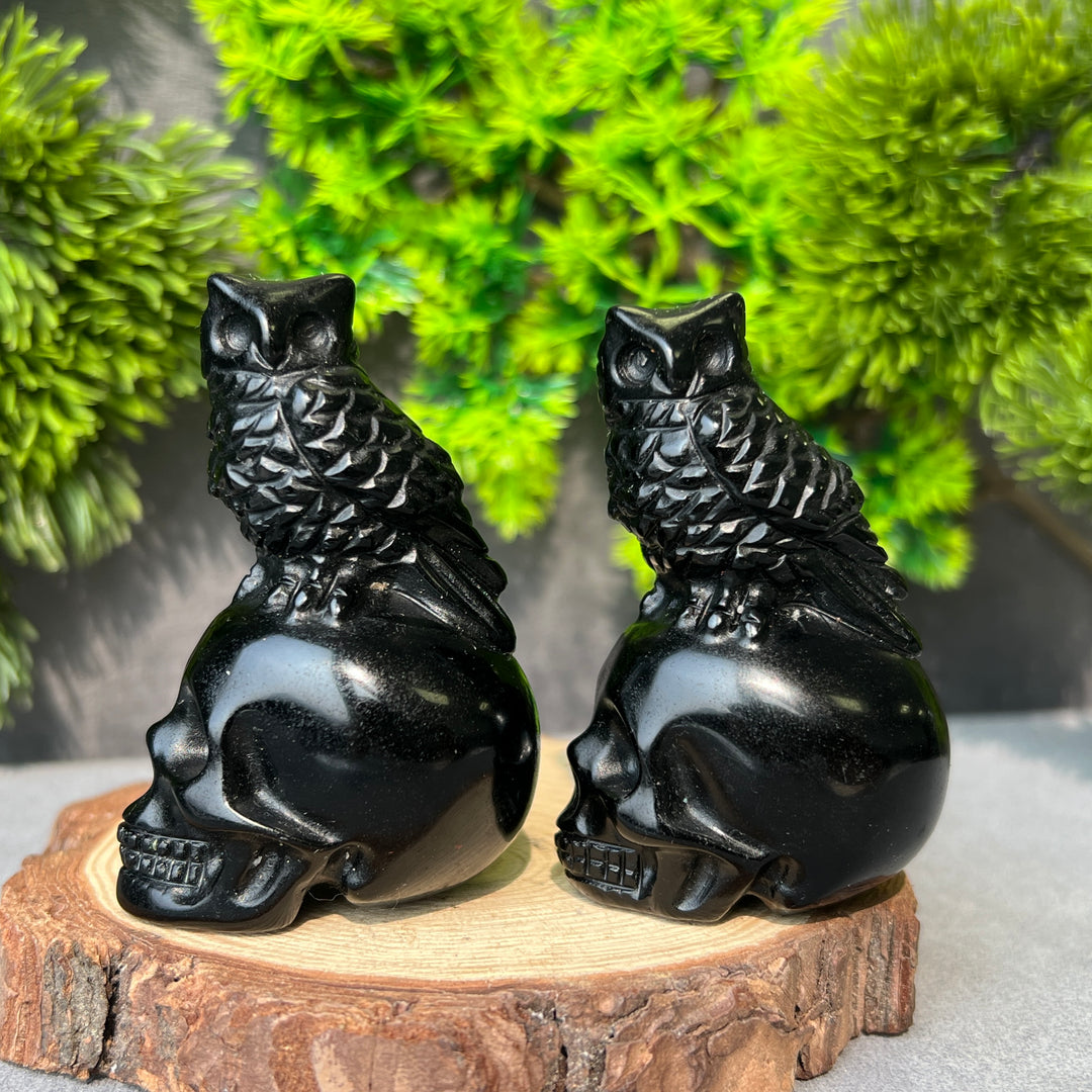 Obsidian Owl Skull