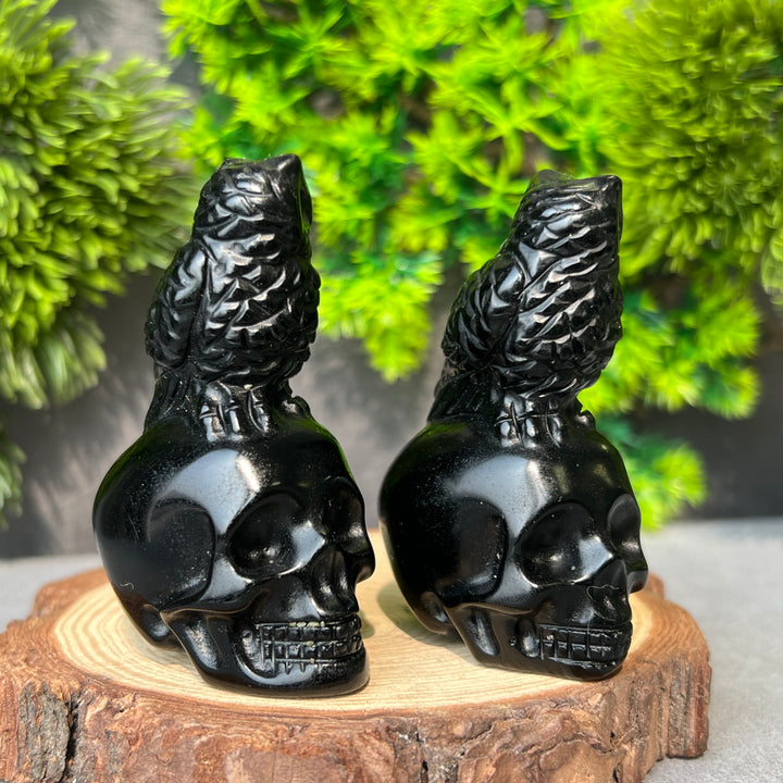 Obsidian Owl Skull
