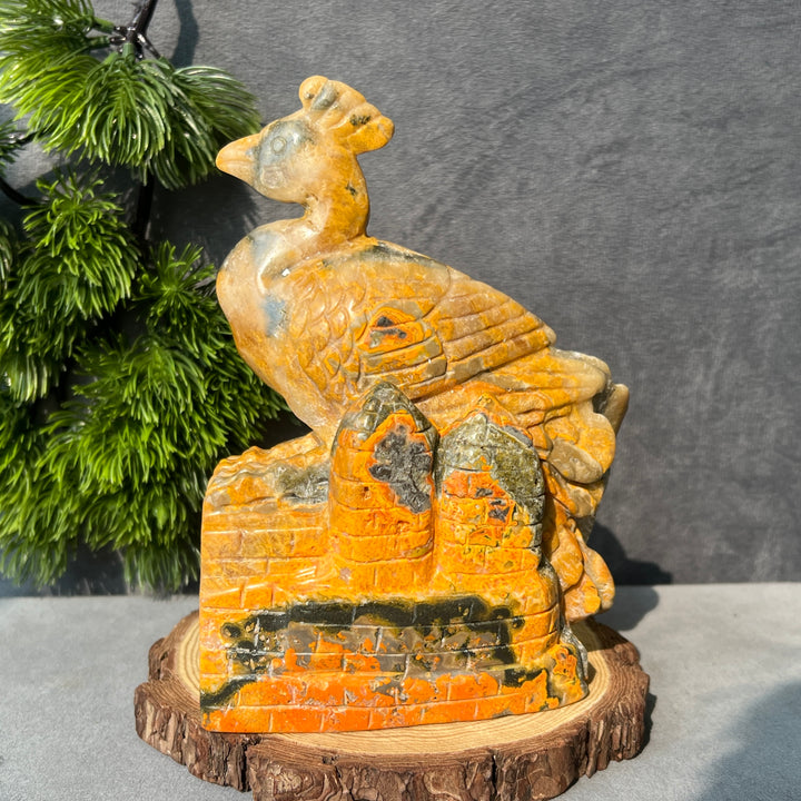 Afghanische Jade-Drittes-Auge-Katze