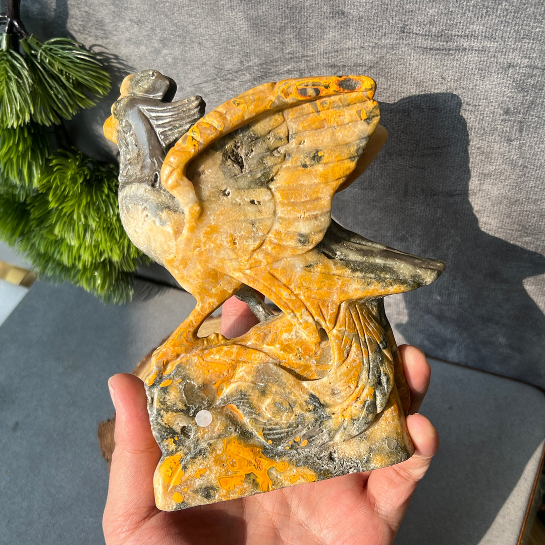 Afghanische Jade-Drittes-Auge-Katze