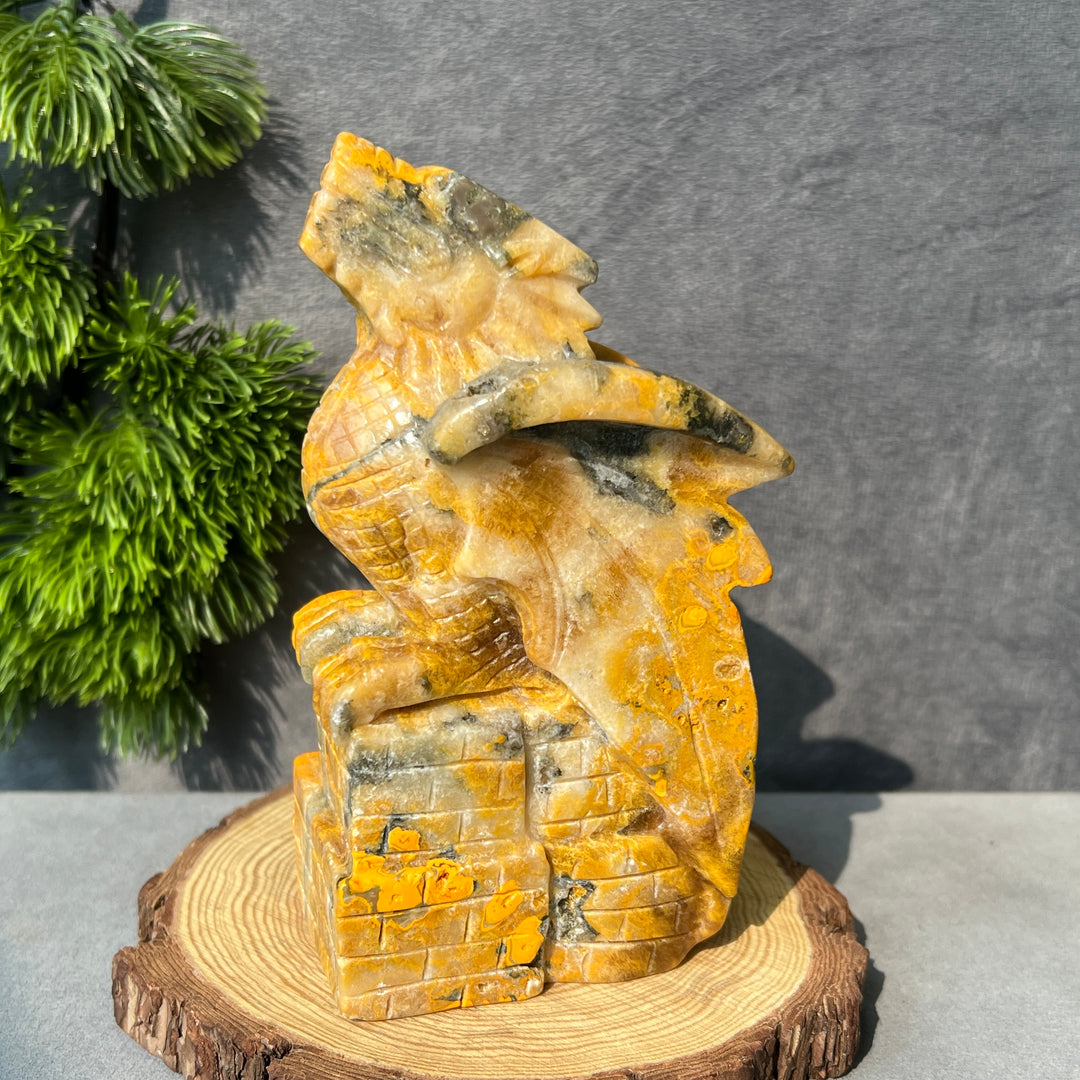Afghanische Jade-Drittes-Auge-Katze