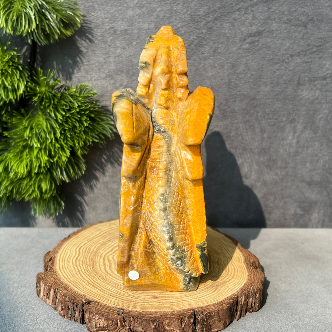 Afghanische Jade-Drittes-Auge-Katze