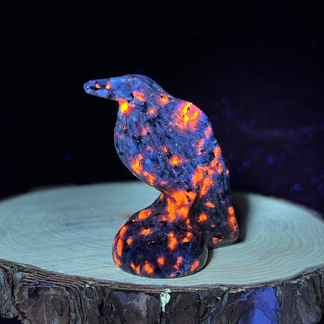 2inch Crow Carving