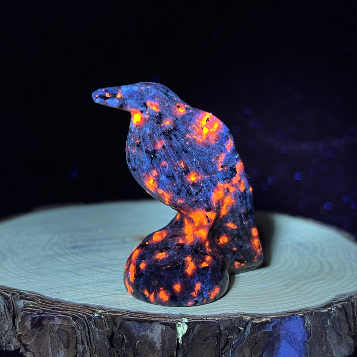 2inch Crow Carving