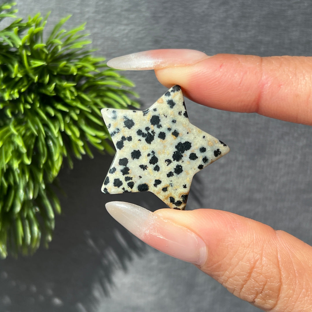 Crystal Mini Star