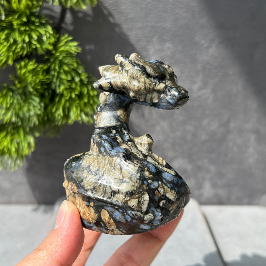 Ancient Dragon Carving-Pre-sell