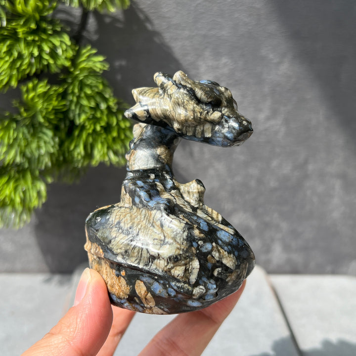 Ancient Dragon Carving-Pre-sell