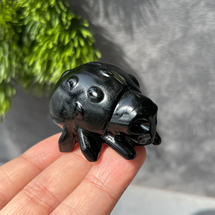 Spider Skull Carving-Pre-sell