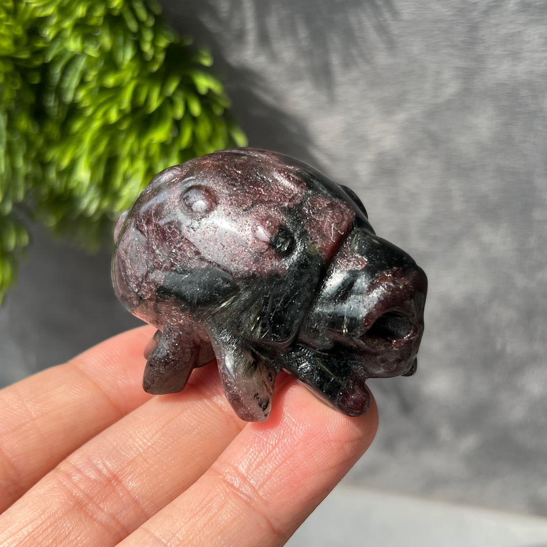 Spider Skull Carving-Pre-sell