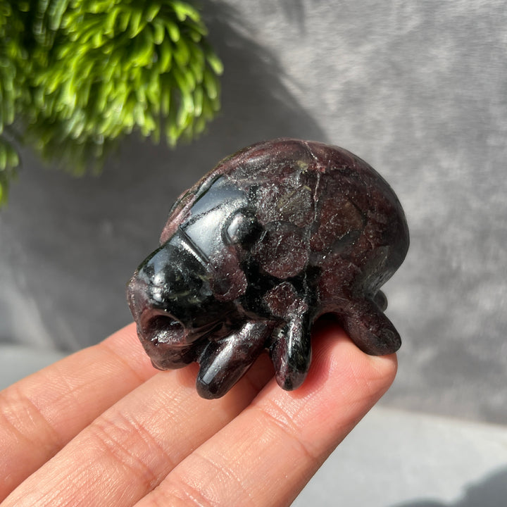 Spider Skull Carving-Pre-sell