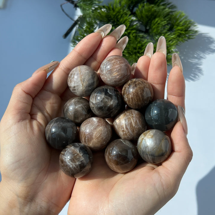 Black Moonstone with Sunstone Sphere 25MM+