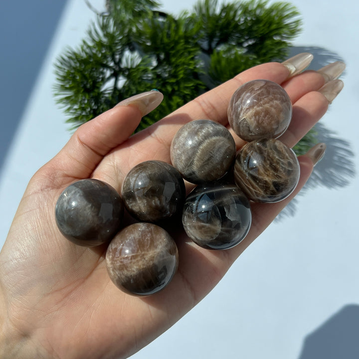 Black Moonstone with Sunstone Sphere 25MM+
