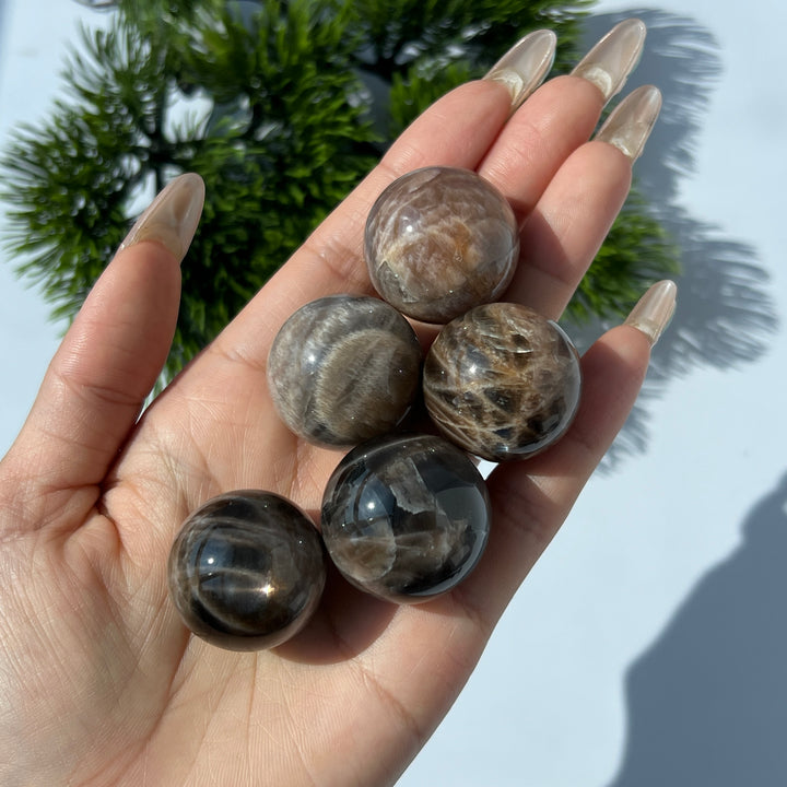 Black Moonstone with Sunstone Sphere 25MM+