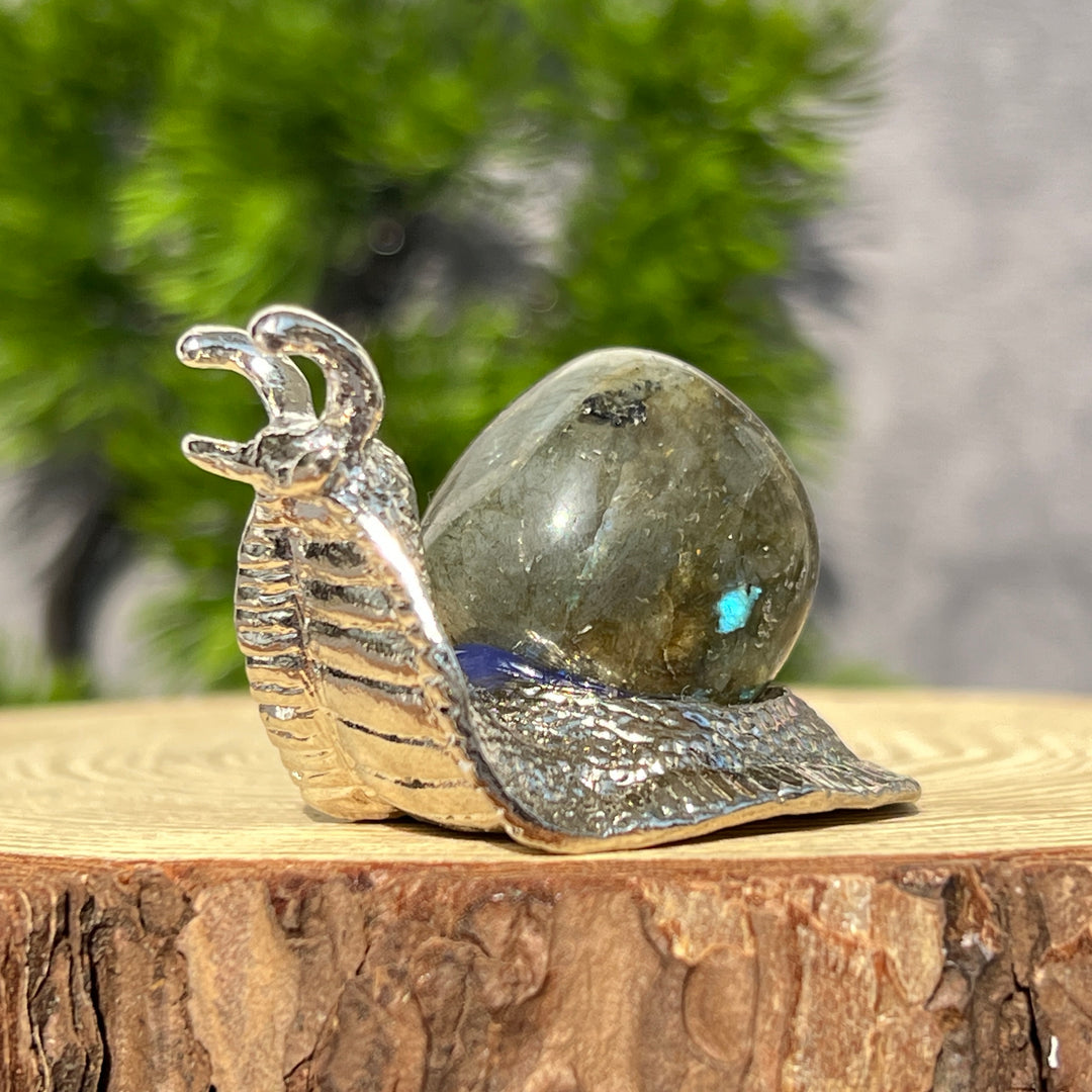 Kristallschnecken-Ornamente