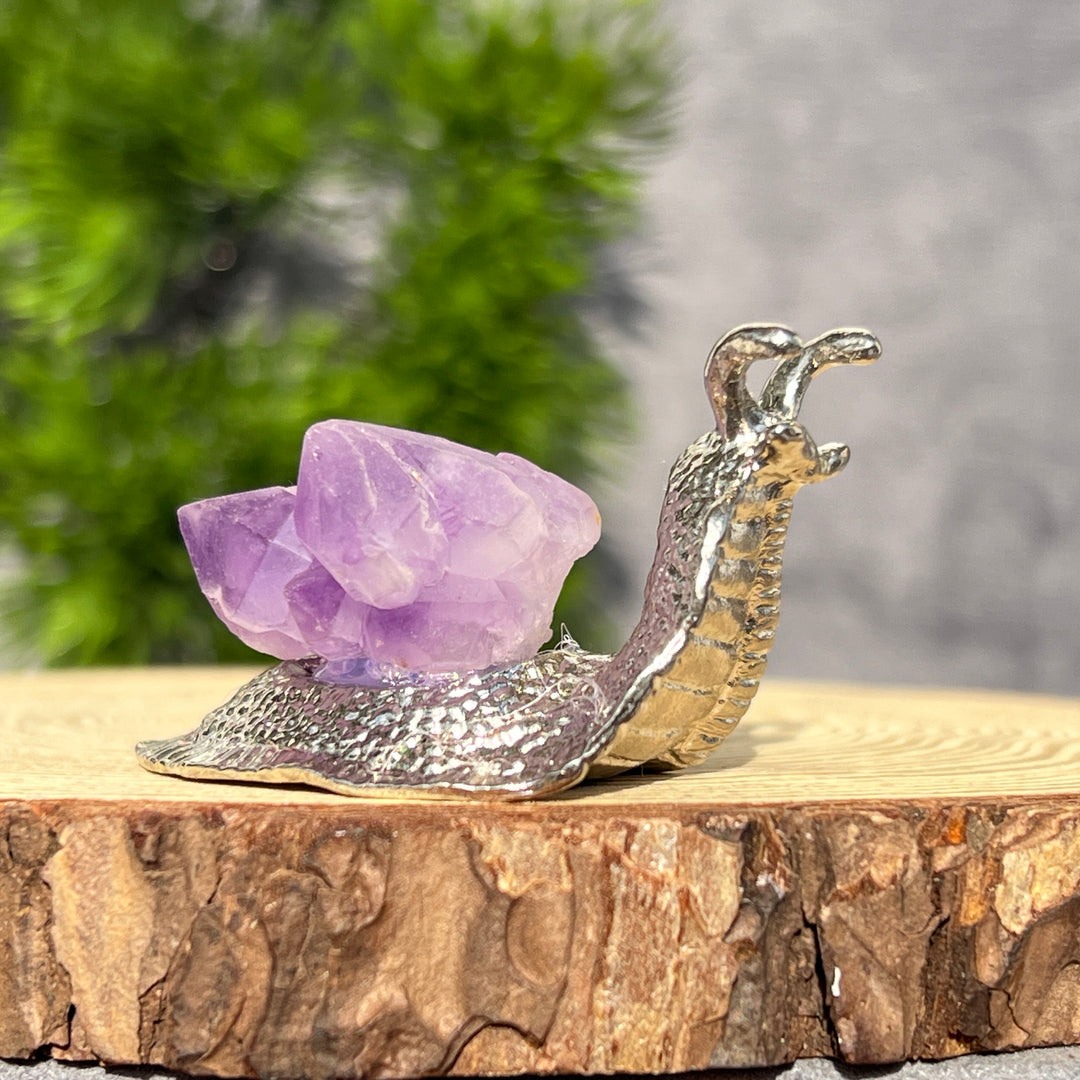 Kristallschnecken-Ornamente