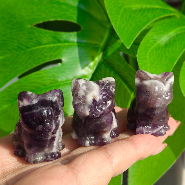 Dream Amethyst Mini Cat