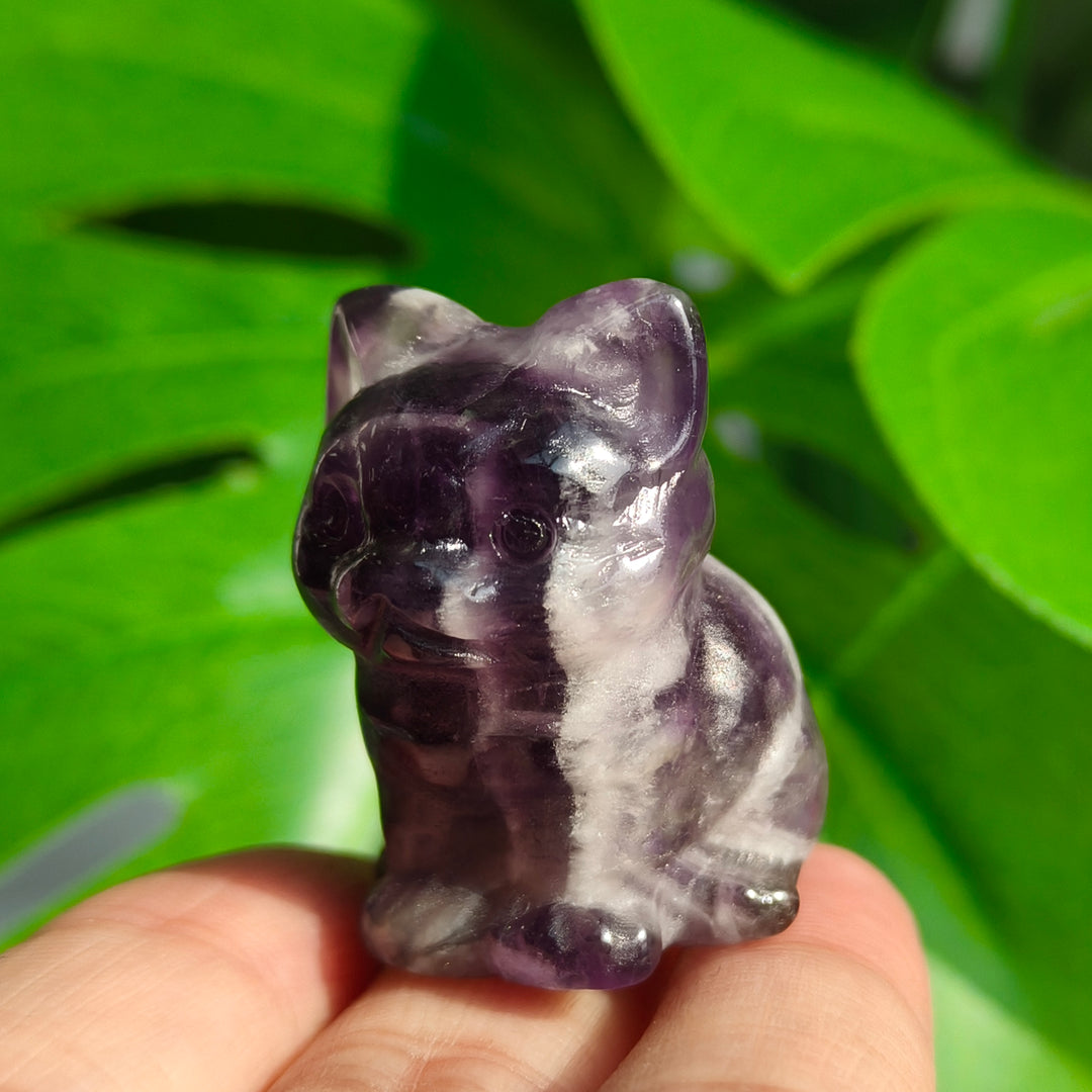 Dream Amethyst Mini Cat